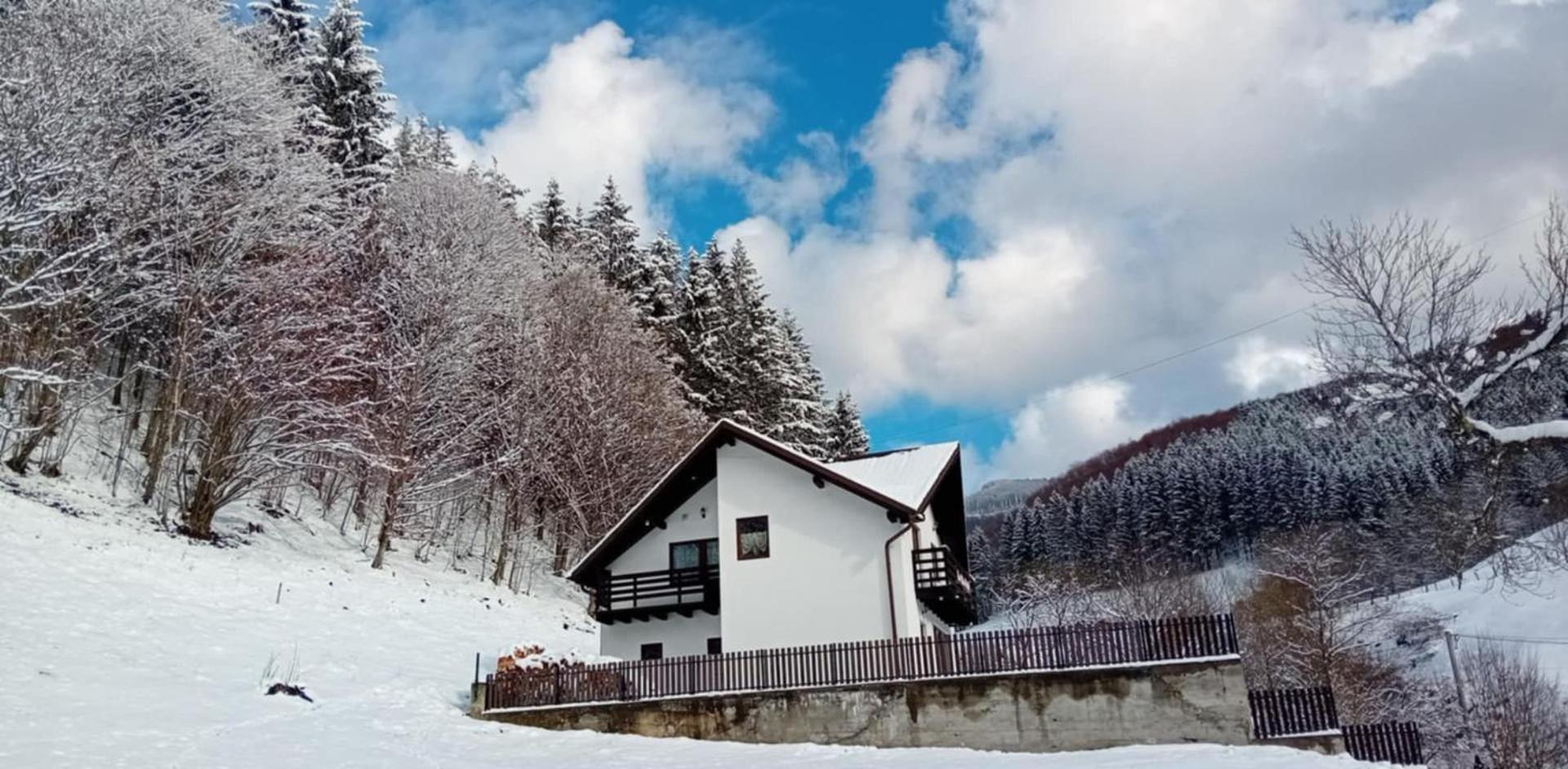 Rau Sadului Casa Valea Prejbei 빌라 외부 사진