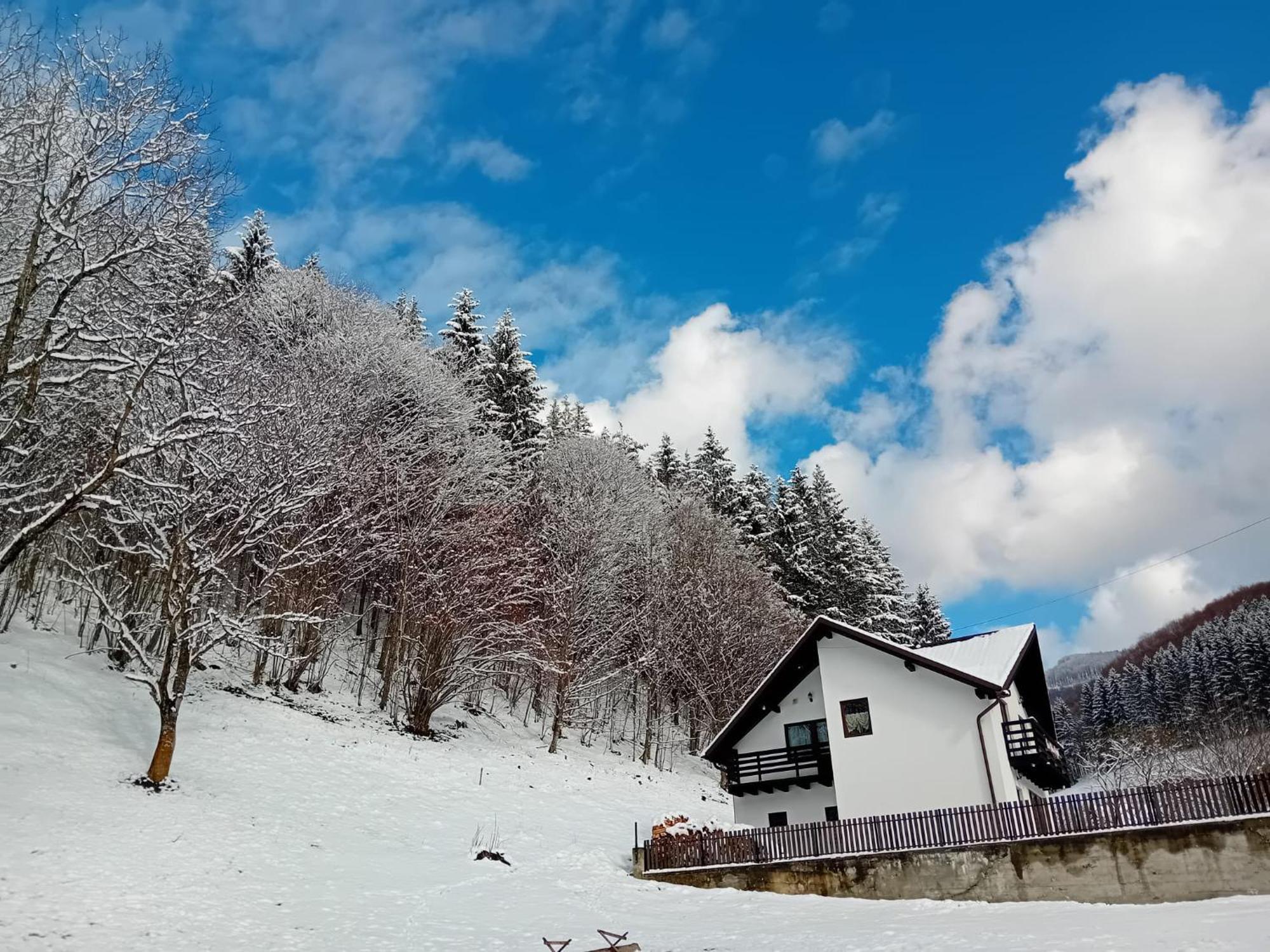 Rau Sadului Casa Valea Prejbei 빌라 외부 사진